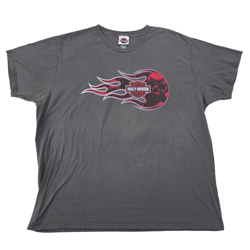 Harley-Davidson Route 65 Indianola IA T-Shirt Mens 3XL Gray Flaming Skull‎ Biker